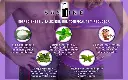 Sashine Gel Propo 5.webp