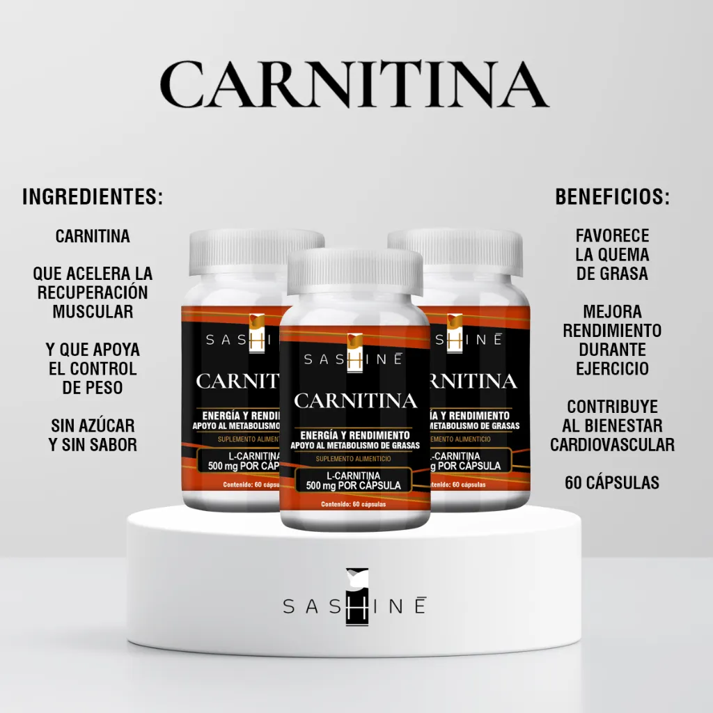 Carnitina Fichas Tecnicas.webp