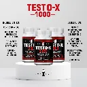 TESTO Fichas Tecnicas.webp