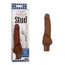 JUGUETES - STUD RECHARGEABLE POWER -BROWN CLITERRIFIC 12 FUNCTIONS